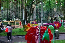 Cali encenderá más de 140 millones de luces en el ‘Alumbrado Navideño de 2025’: se disfrutará día y noche