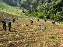Alcaldía de Cali y Parques Nacionales de Colombia adelantan acciones para proteger el medio ambiente de los farallones