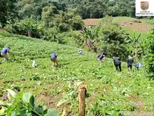 Alcaldía de Cali y Parques Nacionales de Colombia adelantan acciones para proteger el medio ambiente de los farallones