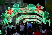 ‘Cali, la sucursal de la Navidad’, el alumbrado navideño 2025 da inicio a la temporada decembrina en la ciudad