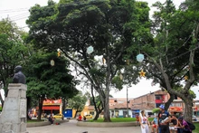 Con el alumbrado en el parque y la Calle de la Feria, la gente del barrio Obrero calienta motores para vivir su mejor diciembre