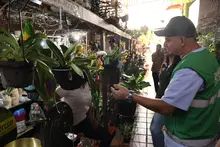 Comerciantes de la galería Alameda demostraron compromiso ambiental: cero musgo y especies protegidas en operativos de control