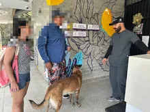 Centro de Bienestar Animal atendió oportunamente a ‘Zafir’, un perro afectado tras explosión en el oriente de Cali