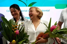 COTSA Cali: una apuesta intersectorial que protege la salud, cuida el ambiente y construye ciudad