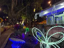 Luz, comunidad y tradición: el Parque Obrero se transforma esta  Navidad