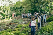 Cali transforma la educación y la convivencia escolar a través del fortalecimiento de los proyectos pedagógicos transversales