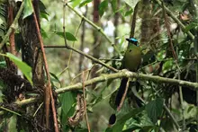 Inicia el 2026 disfrutando de la oferta ambiental de una de la ciudades  más biodiversas del planeta
