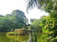 2026: año para el fortalecimiento ambiental de Cali