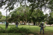 2026: año para el fortalecimiento ambiental de Cali