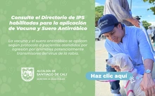 1.11Banner-DirectoriodeIPShabilidasparaVacunaAntirabica.jpg