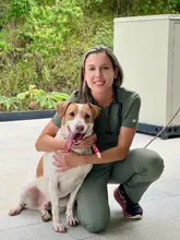 La Uaepa tiene nueva directora: se fortalece la protección animal en Cali