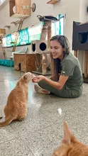 La Uaepa tiene nueva directora: se fortalece la protección animal en Cali
