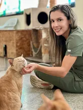 La Uaepa tiene nueva directora: se fortalece la protección animal en Cali