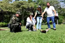 Con el retorno de aves silvestres a su hábitat natural, Cali celebra el Día Internacional de las Aves