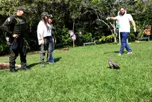Con el retorno de aves silvestres a su hábitat natural, Cali celebra el Día Internacional de las Aves