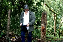 Con el retorno de aves silvestres a su hábitat natural, Cali celebra el Día Internacional de las Aves