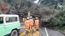 Sistema Distrital de Gestión del Riesgo activo atendiendo emergencias derivadas de las precipitaciones de las últimas horas