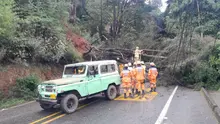 Sistema Distrital de Gestión del Riesgo activo atendiendo emergencias derivadas de las precipitaciones de las últimas horas