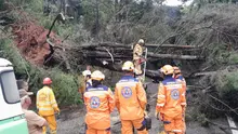 Sistema Distrital de Gestión del Riesgo activo atendiendo emergencias derivadas de las precipitaciones de las últimas horas