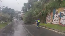 Sistema Distrital de Gestión del Riesgo activo atendiendo emergencias derivadas de las precipitaciones de las últimas horas