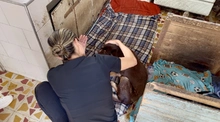 Alcaldía de Cali atiende caso de abandono animal en la Comuna 20 y refuerza acciones de protección