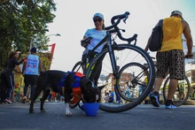 Cali inició el 2026 en movimiento: regresó la Ciclovida y los caleños celebraron