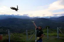 16 animales silvestres retornaron a su hábitat natural