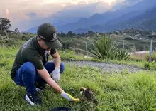 16 animales silvestres retornaron a su hábitat natural