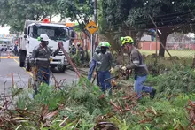 ‘En un 2x3’ recuperamos ambiental y paisajísticamente el entorno de la IE Cristóbal Colón