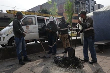 Dagma repuso un árbol volcado en el centro de Cali con una palma botella 