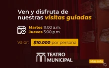 Visitas Guiadas Teatro Municipal_HomeWeb e Instancia_190930