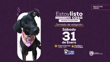 ¡Adopta hoy, ama para siempre! Llegan las primeras jornadas de adopción de 2026