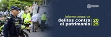 banner delitos patrimonio anual