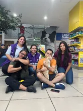 ¡‘Sammy’, ‘Miranda’ y 32 animalitos más, ya tienen hogar! Caleños respondieron a jornadas de adopción iniciando el 2026