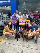 ¡‘Sammy’, ‘Miranda’ y 32 animalitos más, ya tienen hogar! Caleños respondieron a jornadas de adopción iniciando el 2026