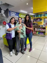 ¡‘Sammy’, ‘Miranda’ y 32 animalitos más, ya tienen hogar! Caleños respondieron a jornadas de adopción iniciando el 2026