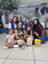 ¡‘Sammy’, ‘Miranda’ y 32 animalitos más, ya tienen hogar! Caleños respondieron a jornadas de adopción iniciando el 2026