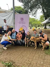 ¡‘Sammy’, ‘Miranda’ y 32 animalitos más, ya tienen hogar! Caleños respondieron a jornadas de adopción iniciando el 2026