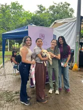 ¡‘Sammy’, ‘Miranda’ y 32 animalitos más, ya tienen hogar! Caleños respondieron a jornadas de adopción iniciando el 2026