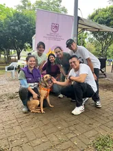 ¡‘Sammy’, ‘Miranda’ y 32 animalitos más, ya tienen hogar! Caleños respondieron a jornadas de adopción iniciando el 2026