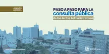 IMAGEN Paso a Paso Para la Consulta Pública de los Actos Administrativos