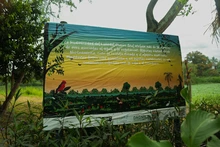 De estar entre mitos y leyendas a convertirse en ecoparque: el humedal Charco Azul se recupera de la mano de la comunidad
