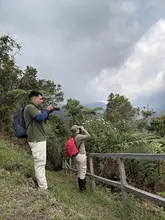 Cali se alista para la ‘pajareada’ más grande de Colombia