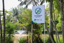Babilla extraída del humedal de Ciudad Jardín ya se encuentra en el Hogar de Paso del Dagma: pronto estará en su hábitat natural