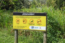 Babilla extraída del humedal de Ciudad Jardín ya se encuentra en el Hogar de Paso del Dagma: pronto estará en su hábitat natural