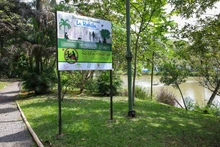Babilla extraída del humedal de Ciudad Jardín ya se encuentra en el Hogar de Paso del Dagma: pronto estará en su hábitat natural