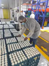 La Secretaría de Educación Distrital verifica procesos de inocuidad alimentaria del PAE en las bodegas de los operadores