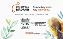 MediosInternos_BirdFair_2026_HomeWeb e Instancia