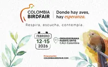 MediosInternos_BirdFair_2026_HomeWeb e Instancia