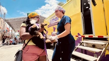 Cali retoma jornadas de esterilización extramural para fortalecer la protección animal
